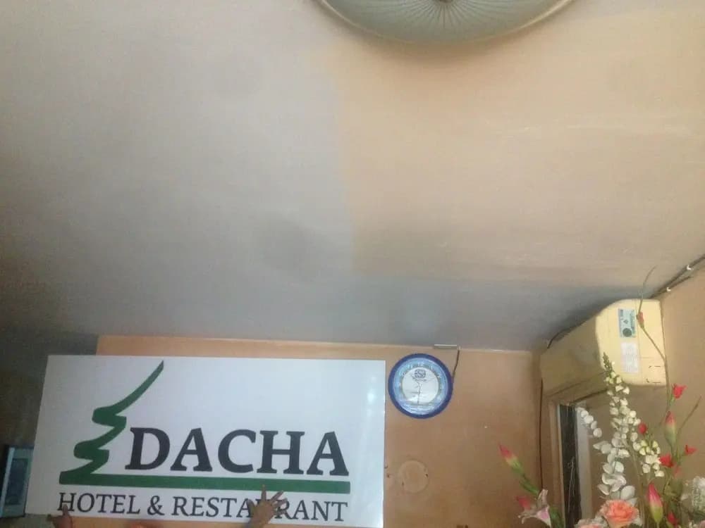 Hotel Dacha - photo 2