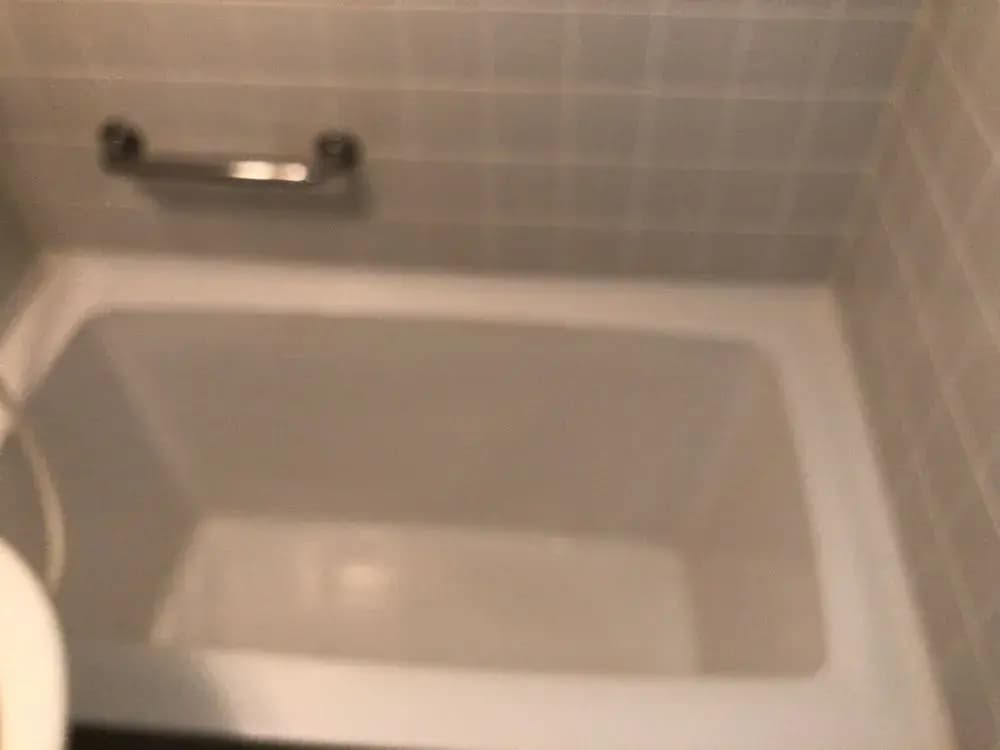 Roppongi Plaza Hotel - photo 7