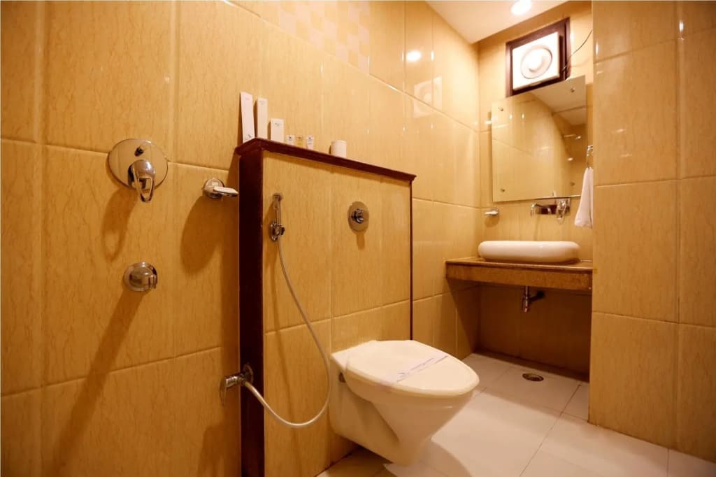 Hotel D'Capitol- Delhi Airport - photo 8