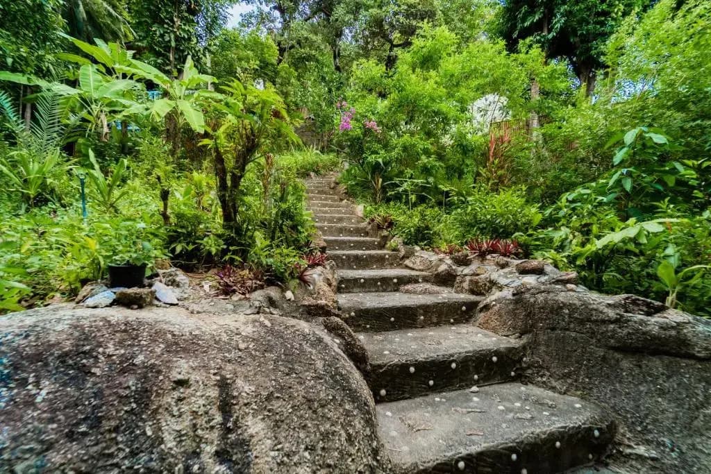 White Azure - photo 16