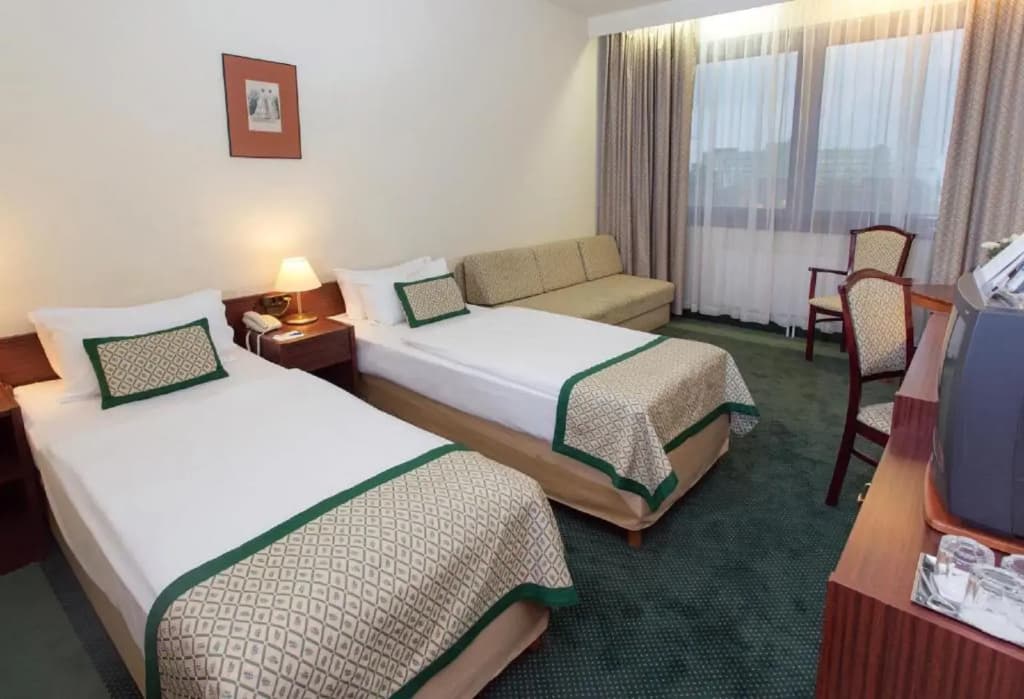 Danubius Hotel Hungaria City Center - photo 49