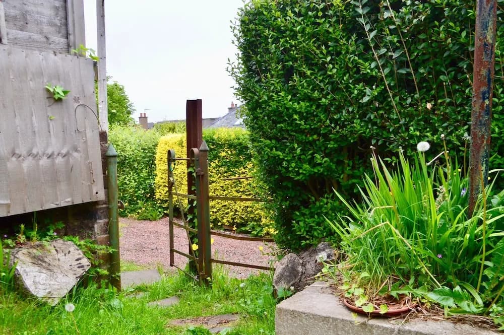 2 Bedroom Flat In Morningside With Private Garden - photo 9