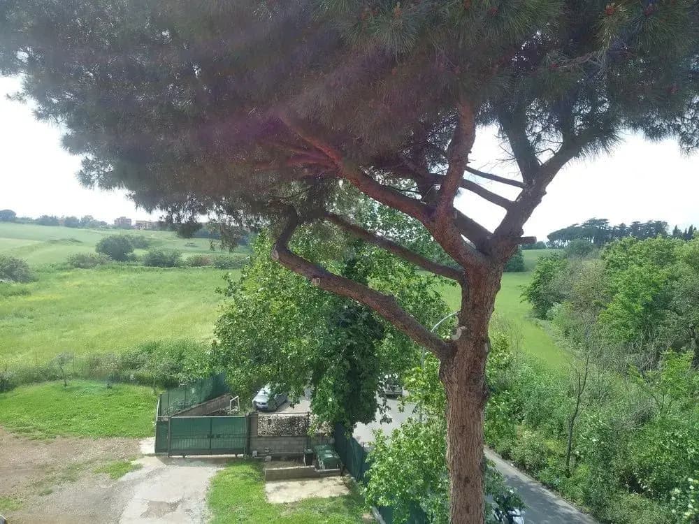 Casale Collina - photo 12