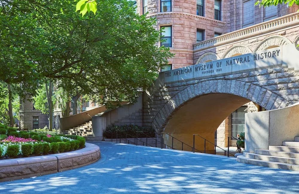 The St. Regis Residence Club - photo 13