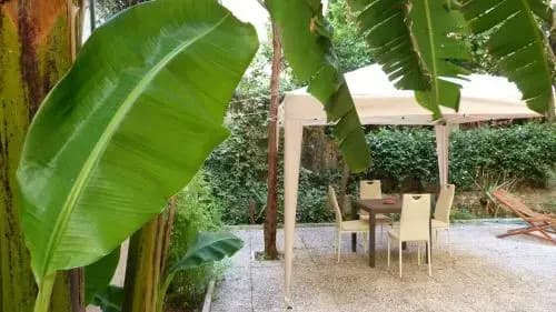 Nucleus Holidays - Vatican Rome - photo 13