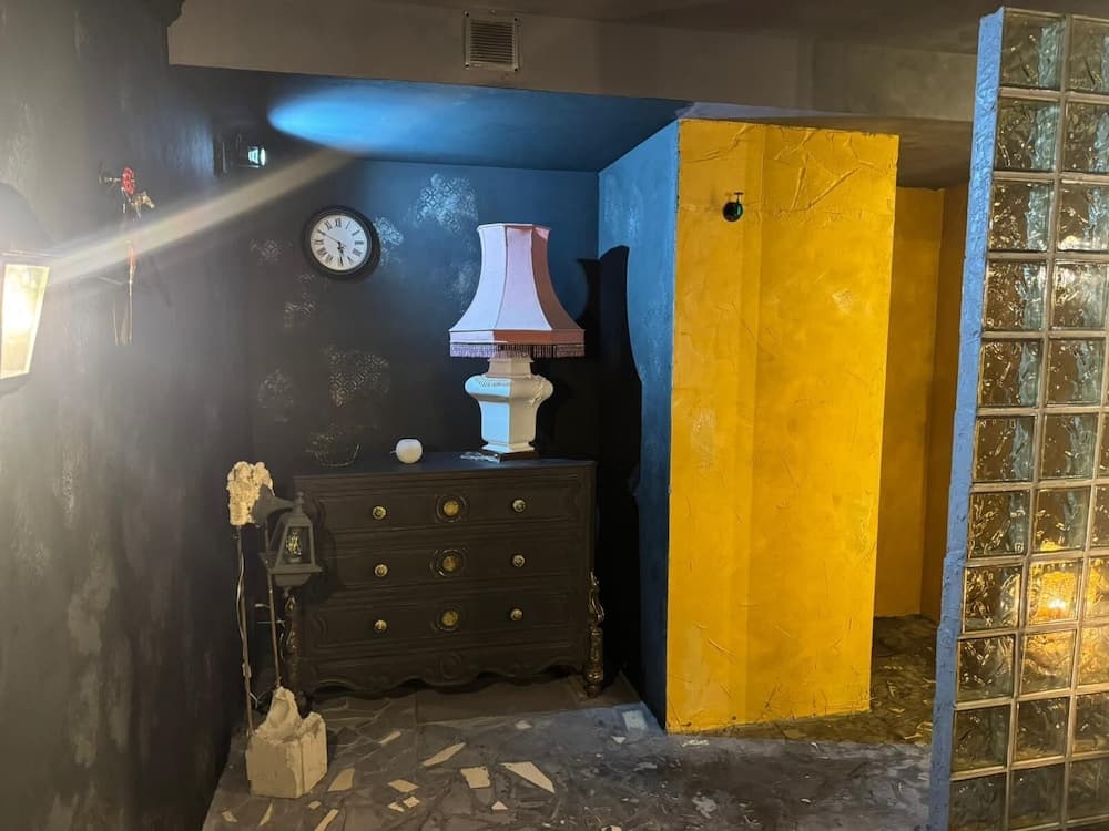 Hostal Mustelier - photo 23