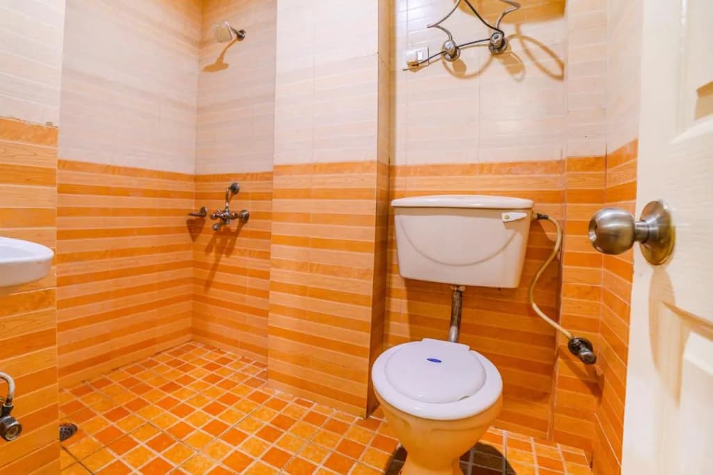 Hotel Shoba Inn - photo 38