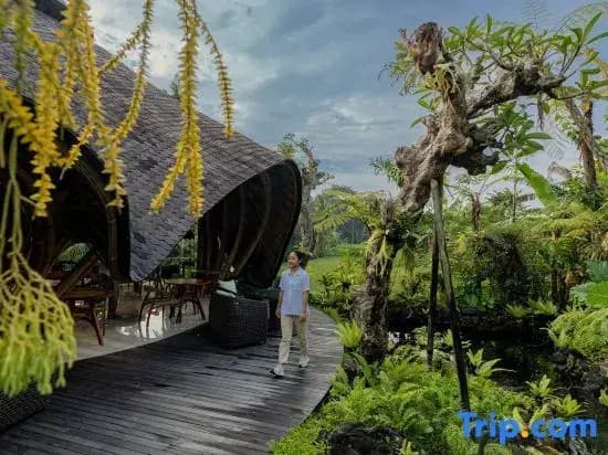 E Sanctuary Resort Ubud - photo 1