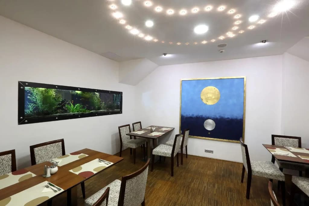 Hotel Amarilis - photo 29