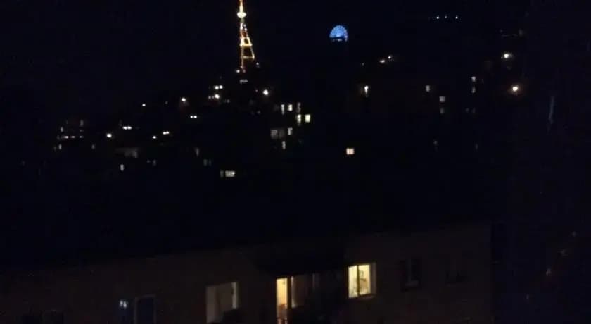 Arakishvili Flat - photo 1