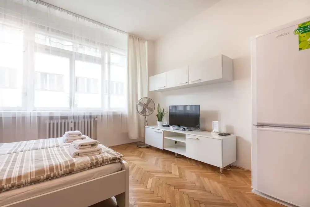 Charles Square  ApartMeet - photo 4