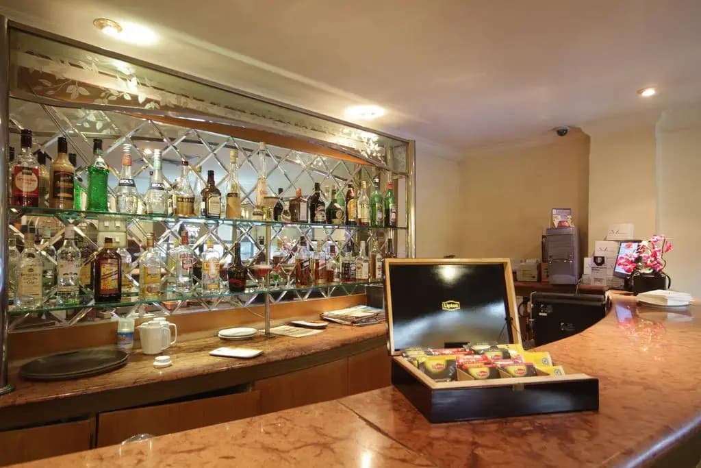 Maharadja Hotel - photo 10