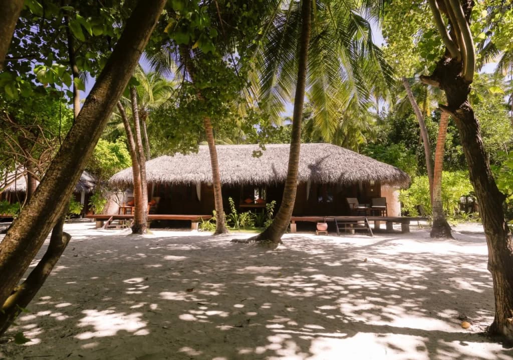 Medhufushi Island Resort - photo 10