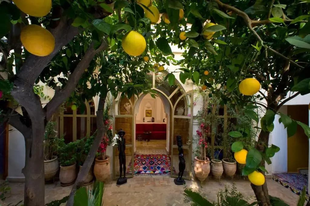 Riad Jnane Do - photo 8