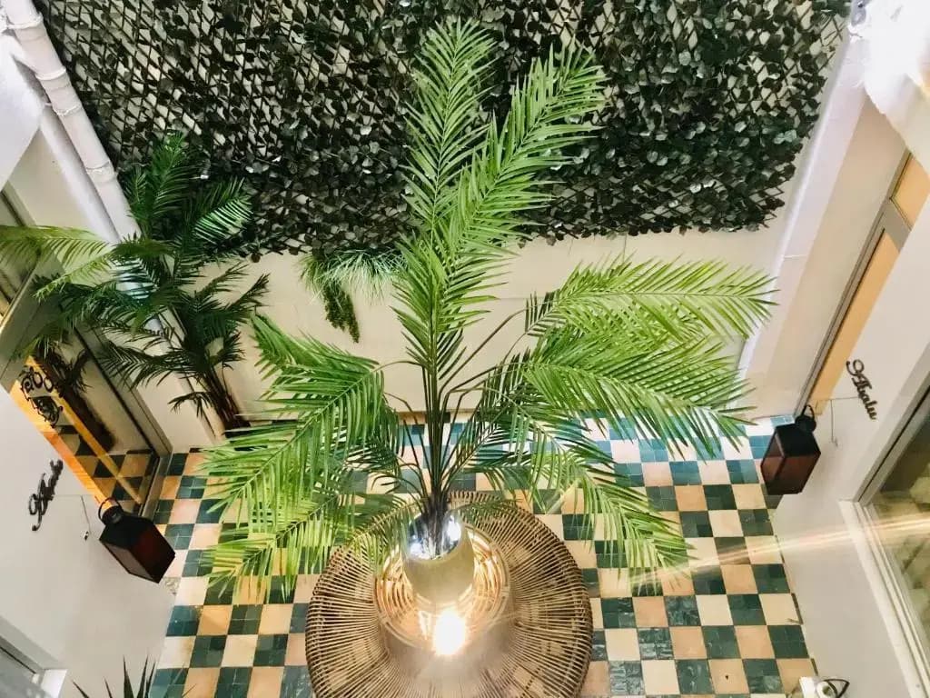 Abalu Boutique & Design Hotel - photo 15