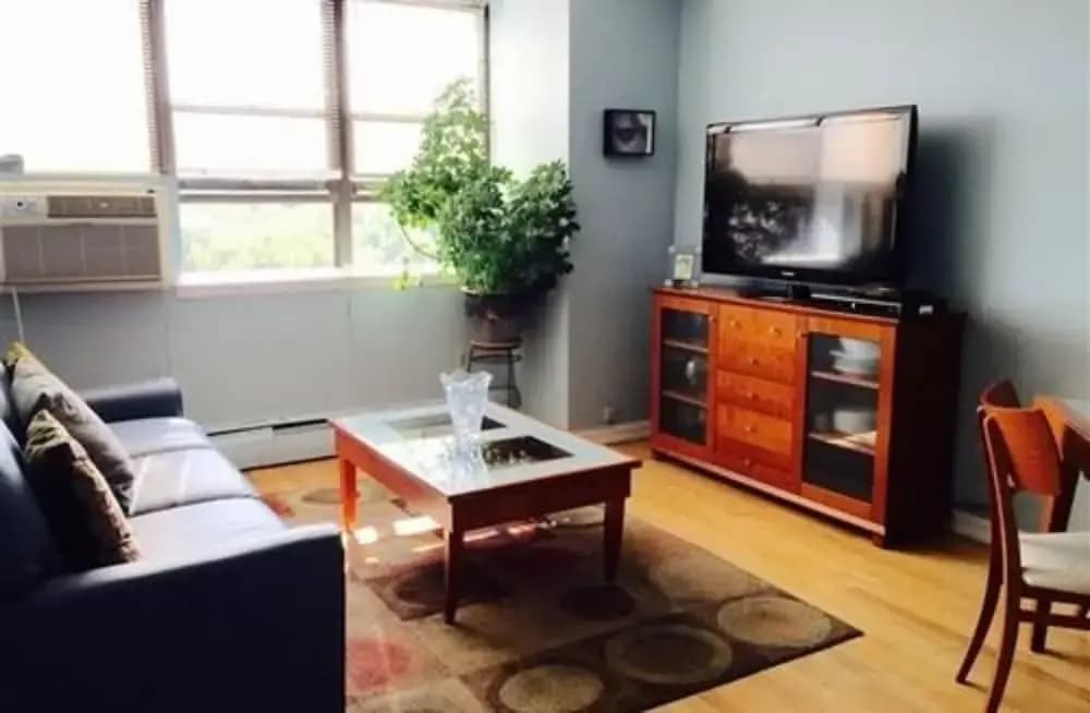 Central Park View Apartment - photo 3