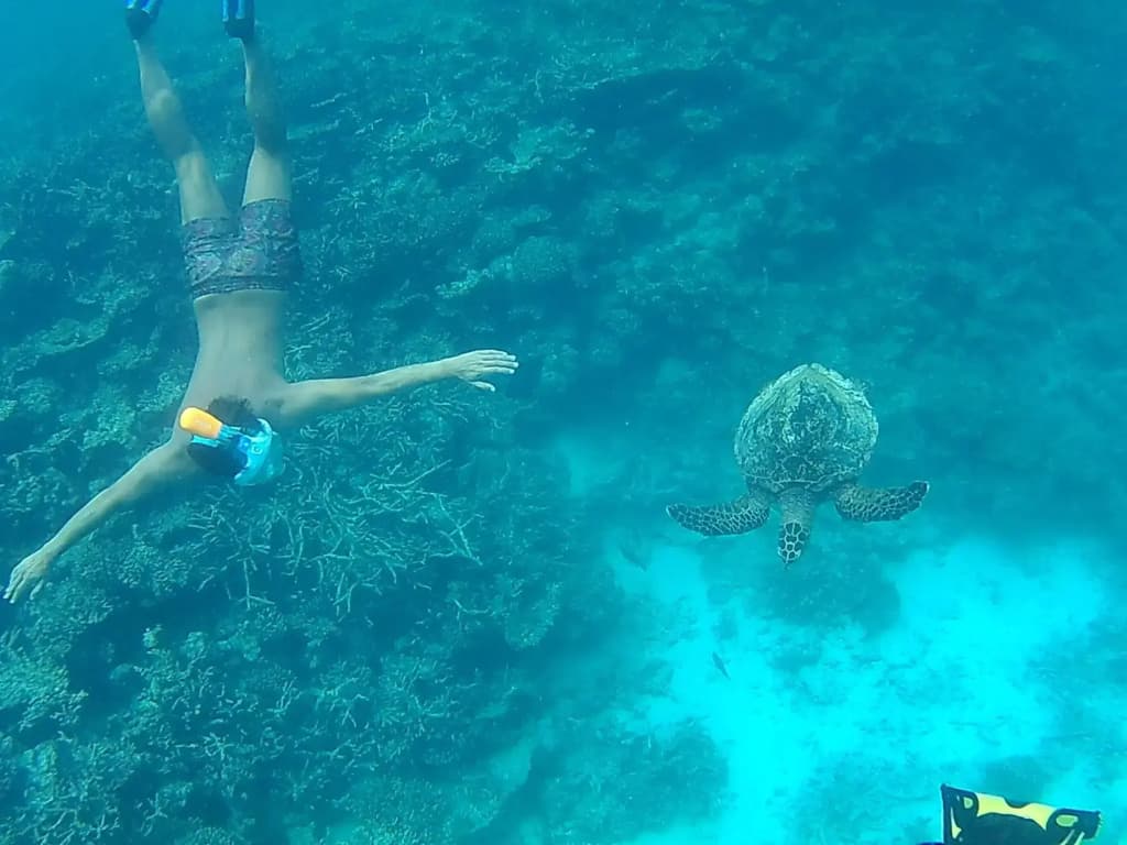Crown Beach Hotel Maldives - photo 25
