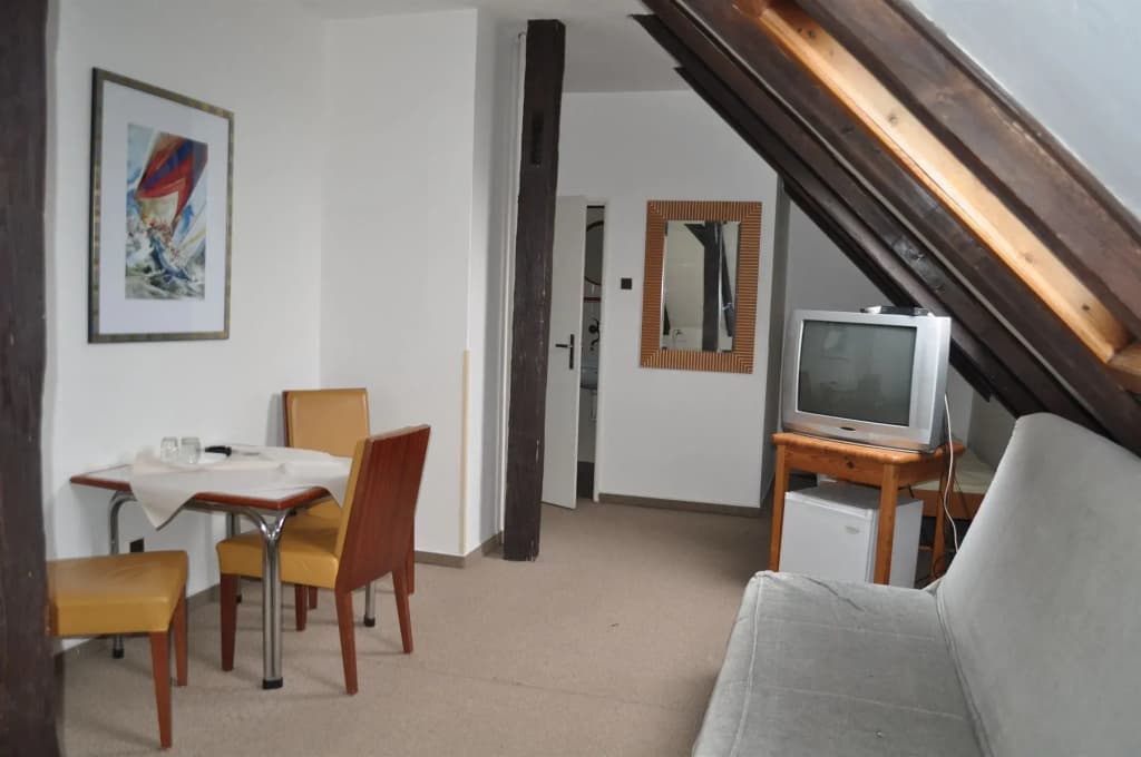Hotel Svornost - photo 5