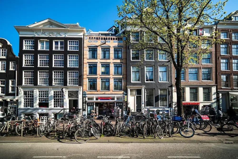 Dutch House - photo 1