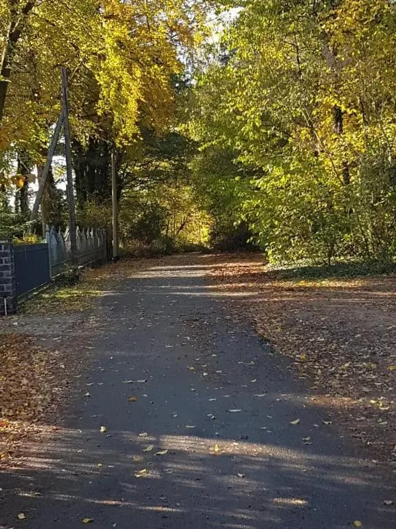 Ferienwohnungen am Krossinsee - photo 8
