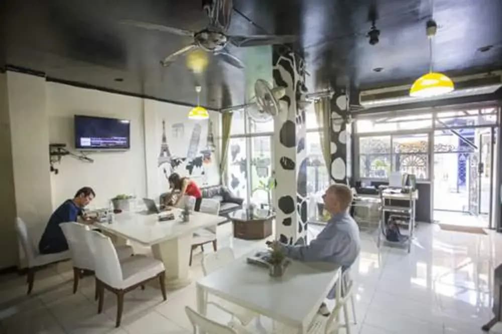 Mad Cow Hostel - photo 15