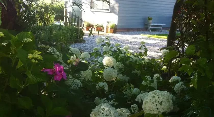 Amsterdam Country Cottage - main photo