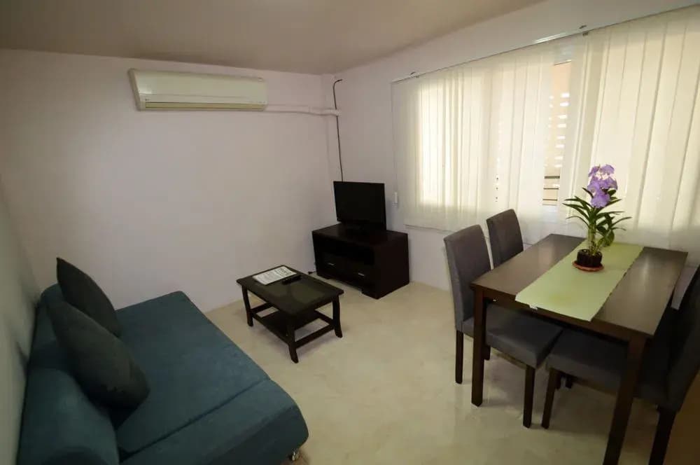 Swan Guesthouse and Restaurant - photo 14