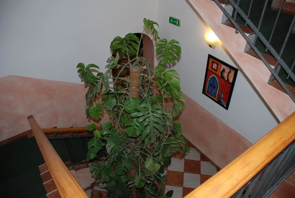 Hotel Bogart 2 - photo 11