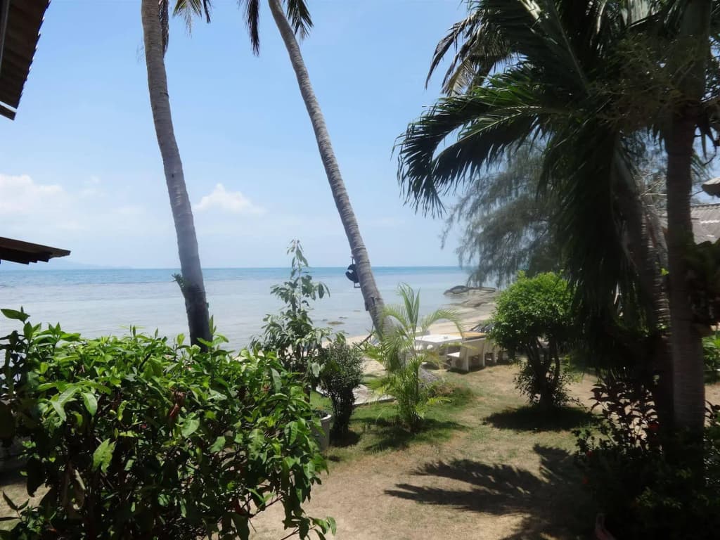 Bird Bungalow - photo 11