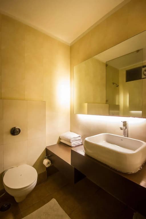 Hotel Good Palace - photo 10