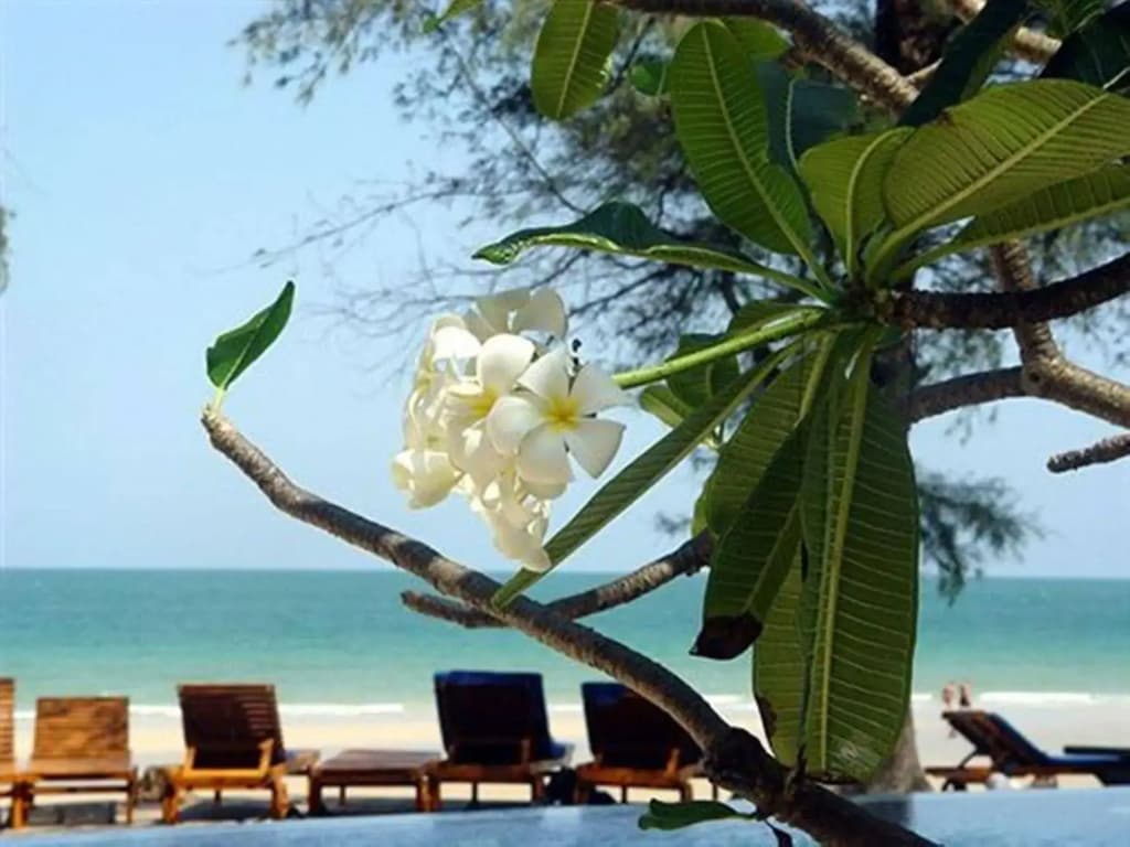 Baan Talay Dao - photo 12