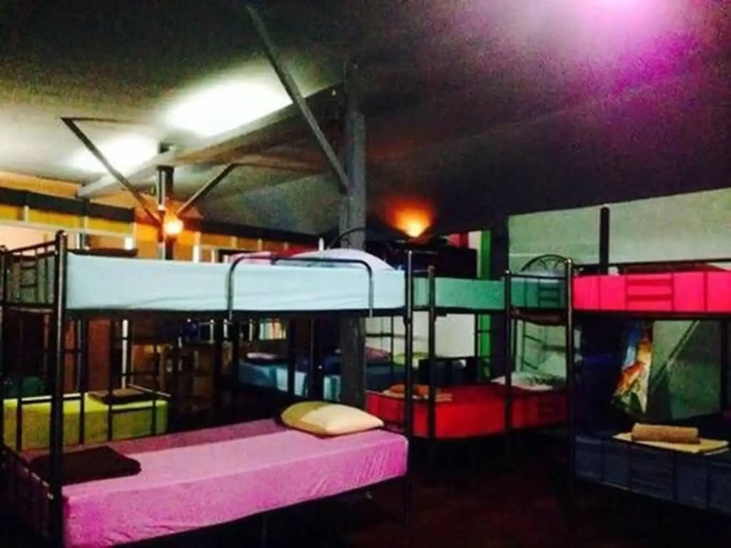 Bamboozle Hostel - photo 13