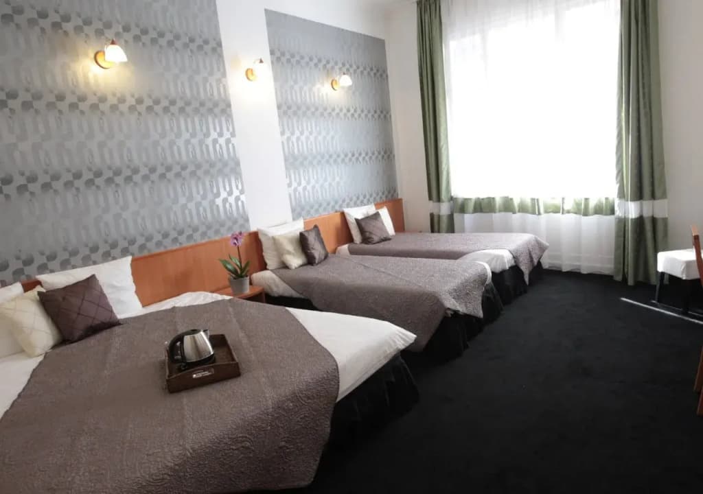 Budapest Heritage Guest House - photo 4