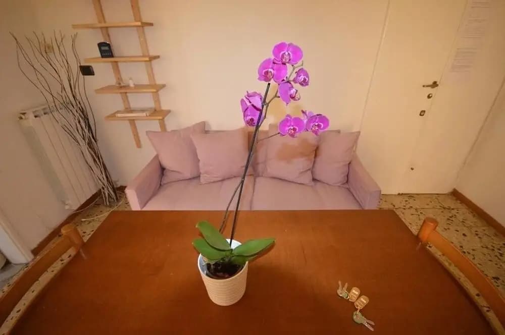 Bruni Apartment - photo 8