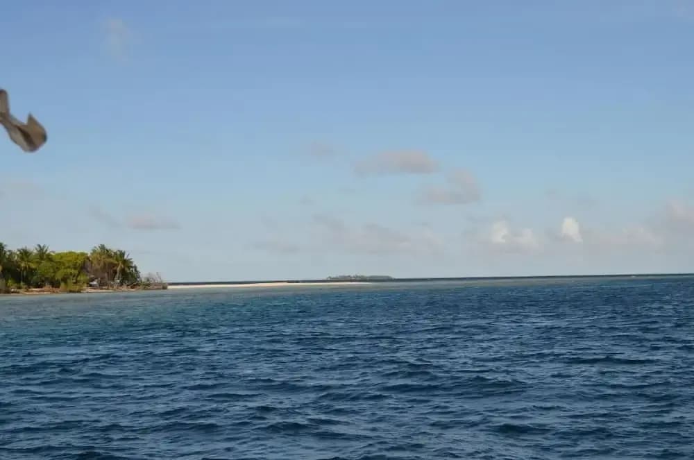 Kuri Beach View Inn Hotel - photo 12