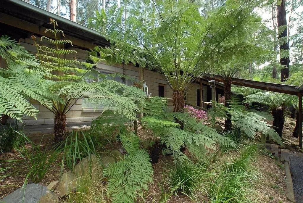Fernglen Forest Retreat - photo 9