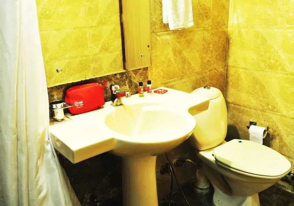 Hotel Maharaja Residency - photo 9