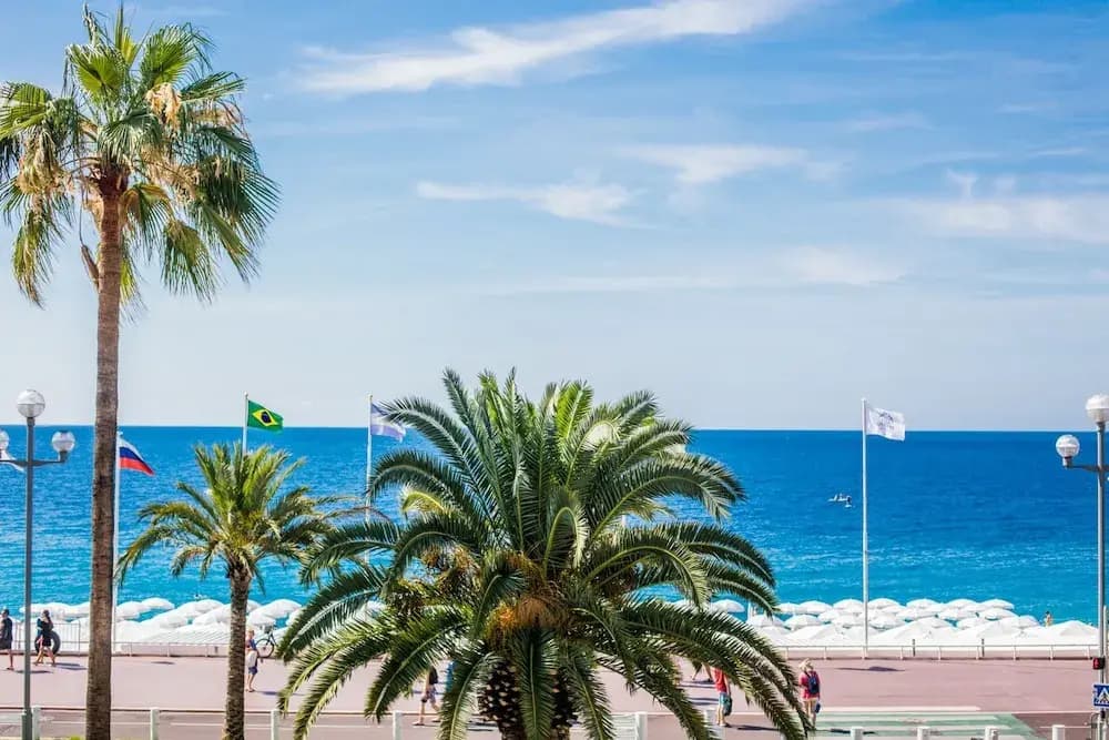 Lido Promenade AP4020 - photo 16