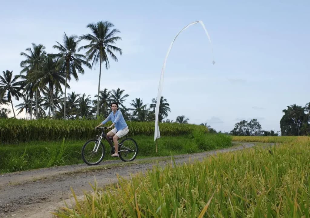 The Amerta Private Villa Ubud - photo 6