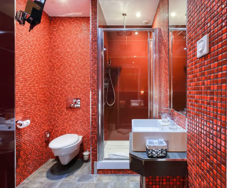 Hôtel Excelsior by HappyCulture - photo 8