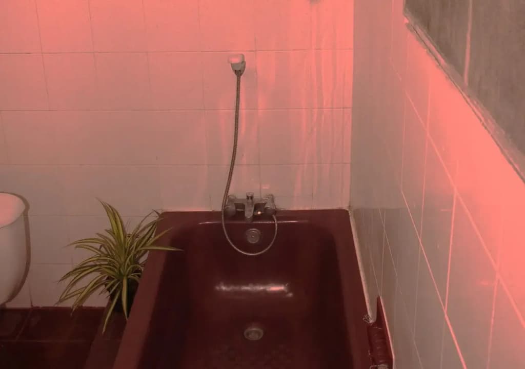 Rohan Guesthouse - photo 8