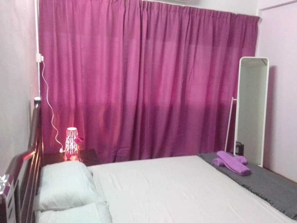 Purpleberry Inn - photo 7