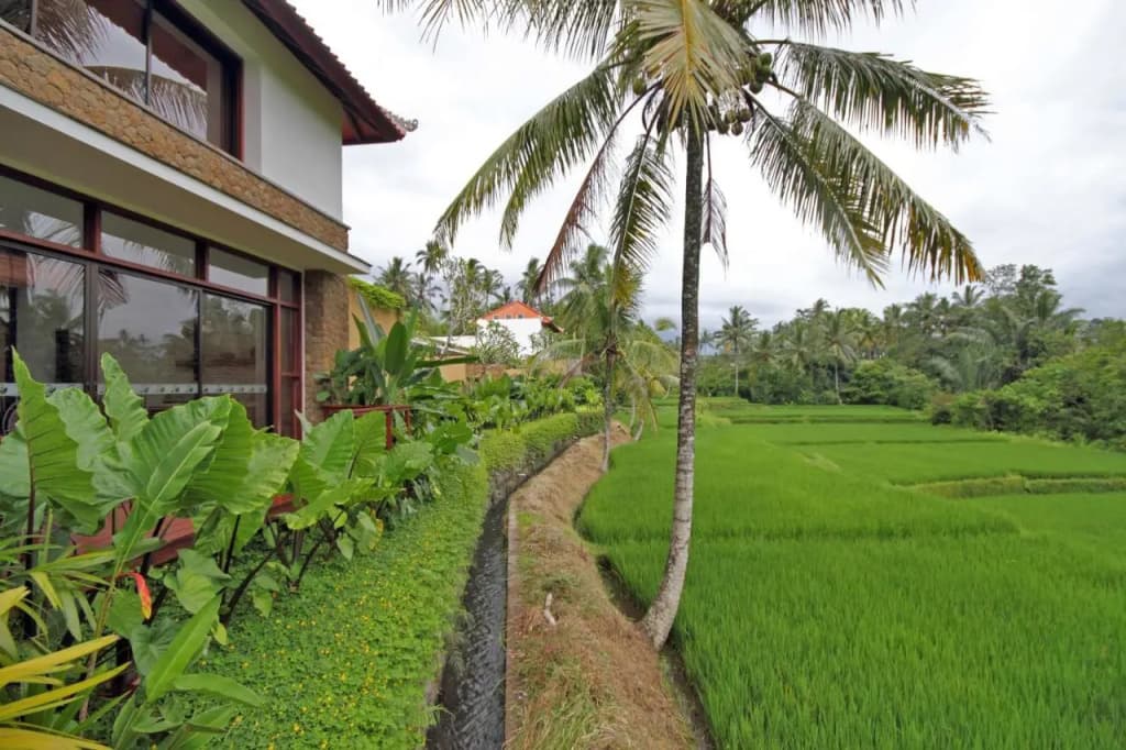 Ubud Green Resort Villas Powered by Archipelago - photo 37
