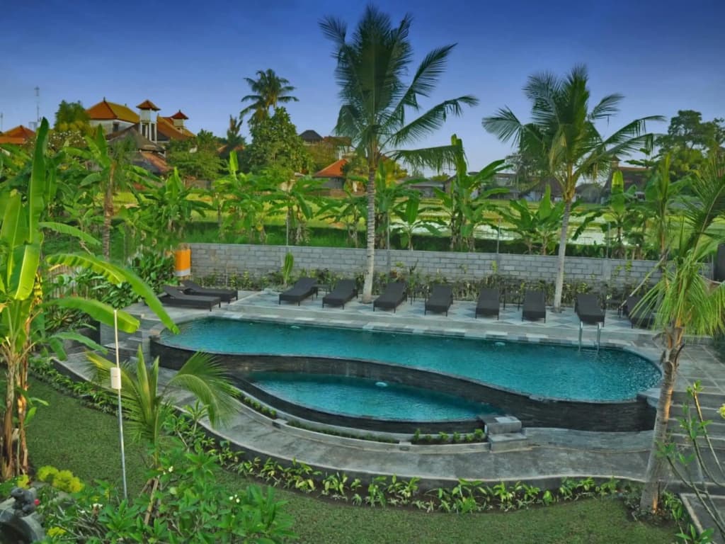 Bucu Guest House - photo 4