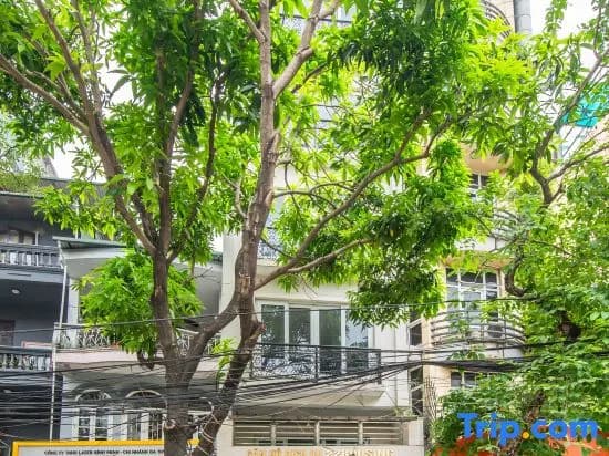 22Housing 48 Phan Ke Binh - photo 2
