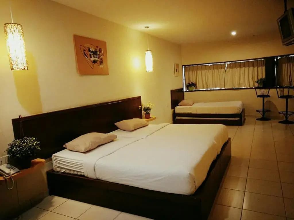 Newbridge Hotel - photo 4
