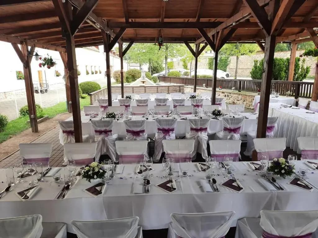 Hotel Čertousy - photo 21