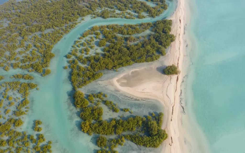 Desert Islands Resort & Spa by Anantara - photo 23