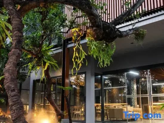 Lush Inn Phuket - photo 21