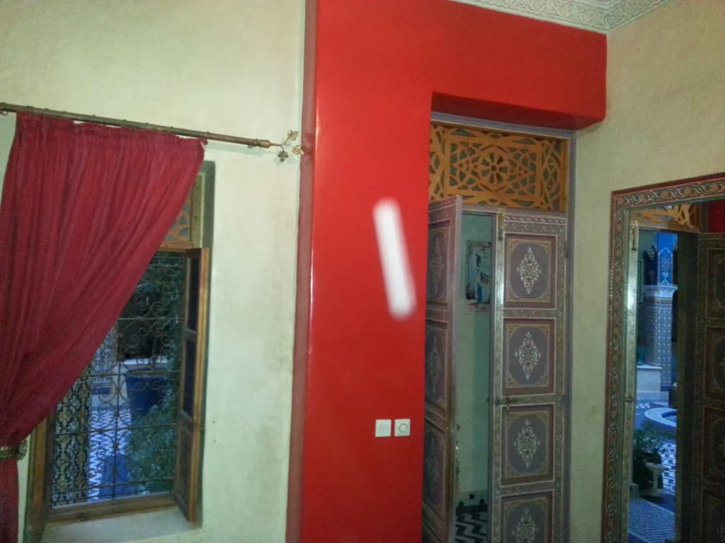 Riad Puchka - photo 12